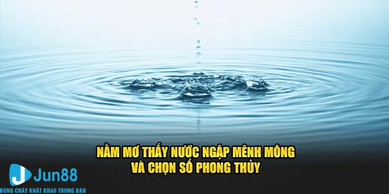 Nằm Mơ Thấy Nước Ngập Mênh Mông 7 Điềm Báo Đón Lành Tránh Dữ Jun88 2 Nằm mơ thấy nước ngập mênh mông và chọn số phong thủy